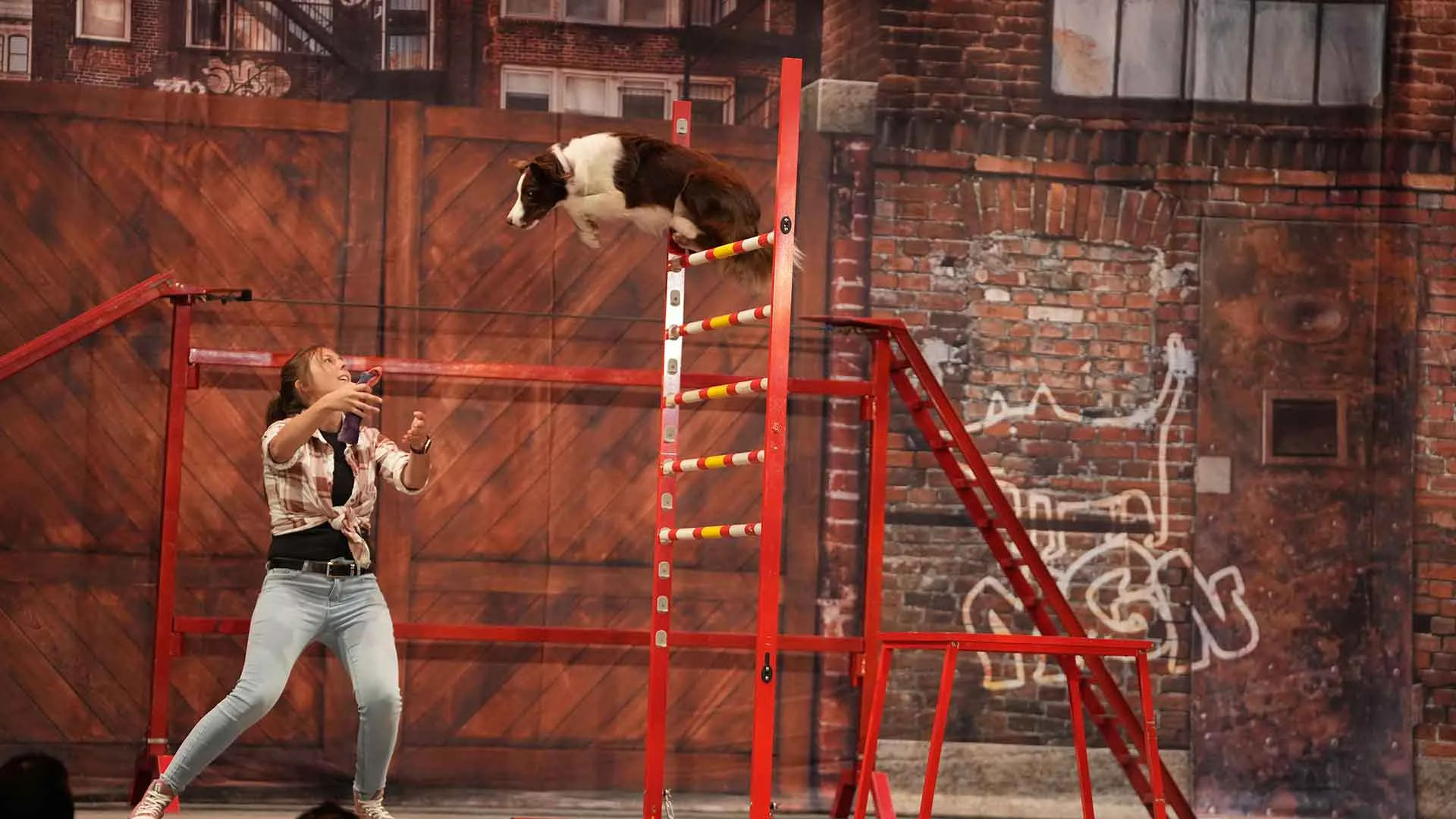Mutts Gone Nuts: Unleashed!