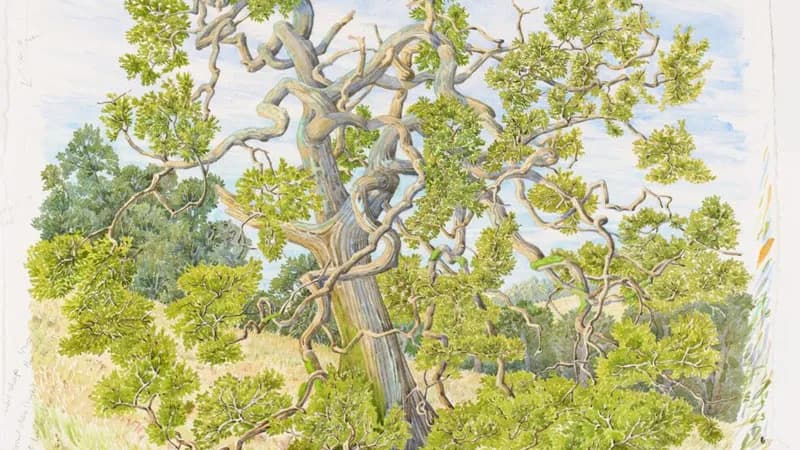 Tony Foster, Exploring Time: A Painter’s Perspective