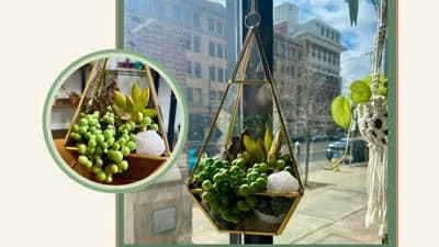 Hanging Geometric Terrarium Workshop