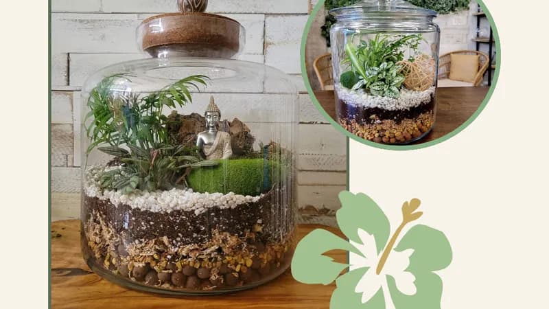 Tropical Terrarium Workshop