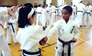 City of Beavercreek Parks, Recreation & Culture martial arts venue