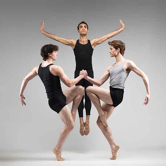 Pointes Of View