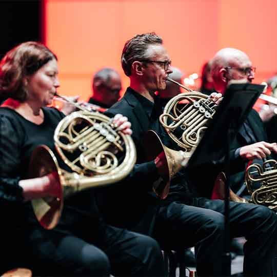 Mahler's First Symphony
